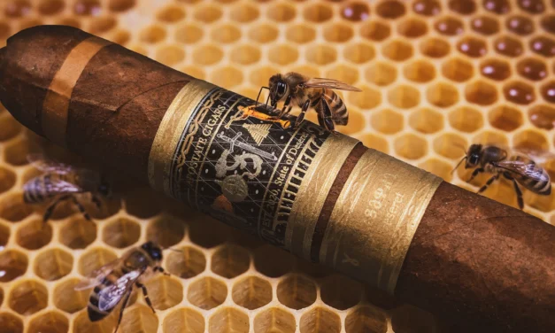 Apostate The Deseret – Robusto Grande (5.25 x 54)