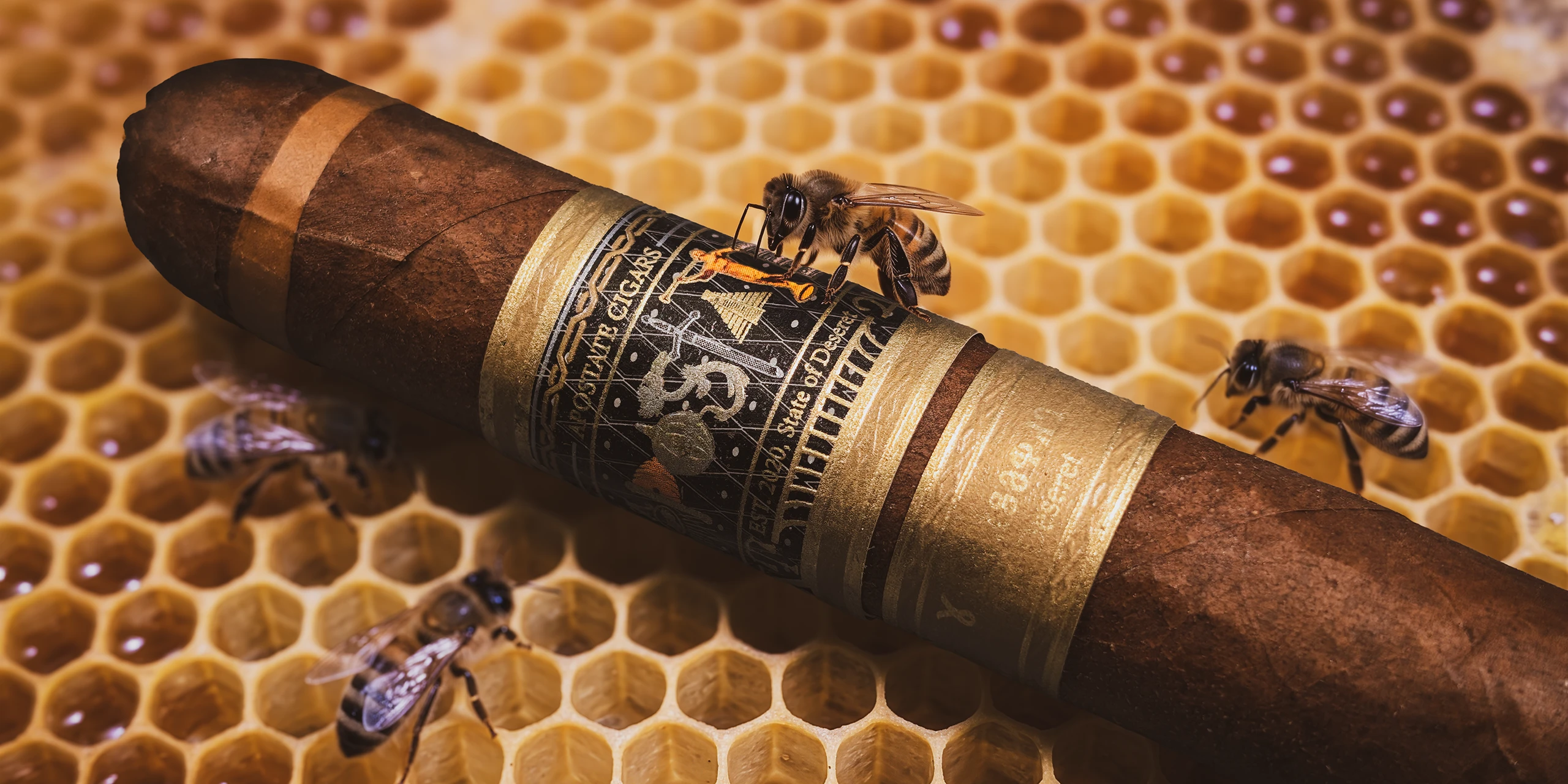 Apostate The Deseret – Robusto Grande (5.25 x 54)_HEADER_04