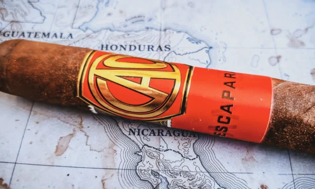 CAO Escaparate (TAM.095) – Toro (6 x 52)