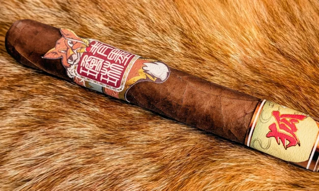 ChìMolly Fox y ChìMolly – Robusto Extra (6 x 52)