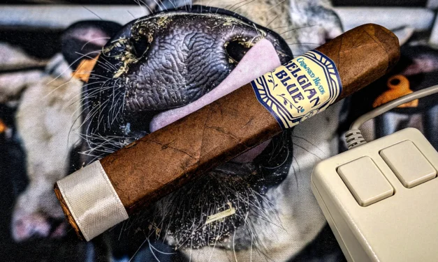 Crowned Heads Belgian Blue Limited Edition 2025 – Robusto Grande (Box Press) (5.5 x 56)