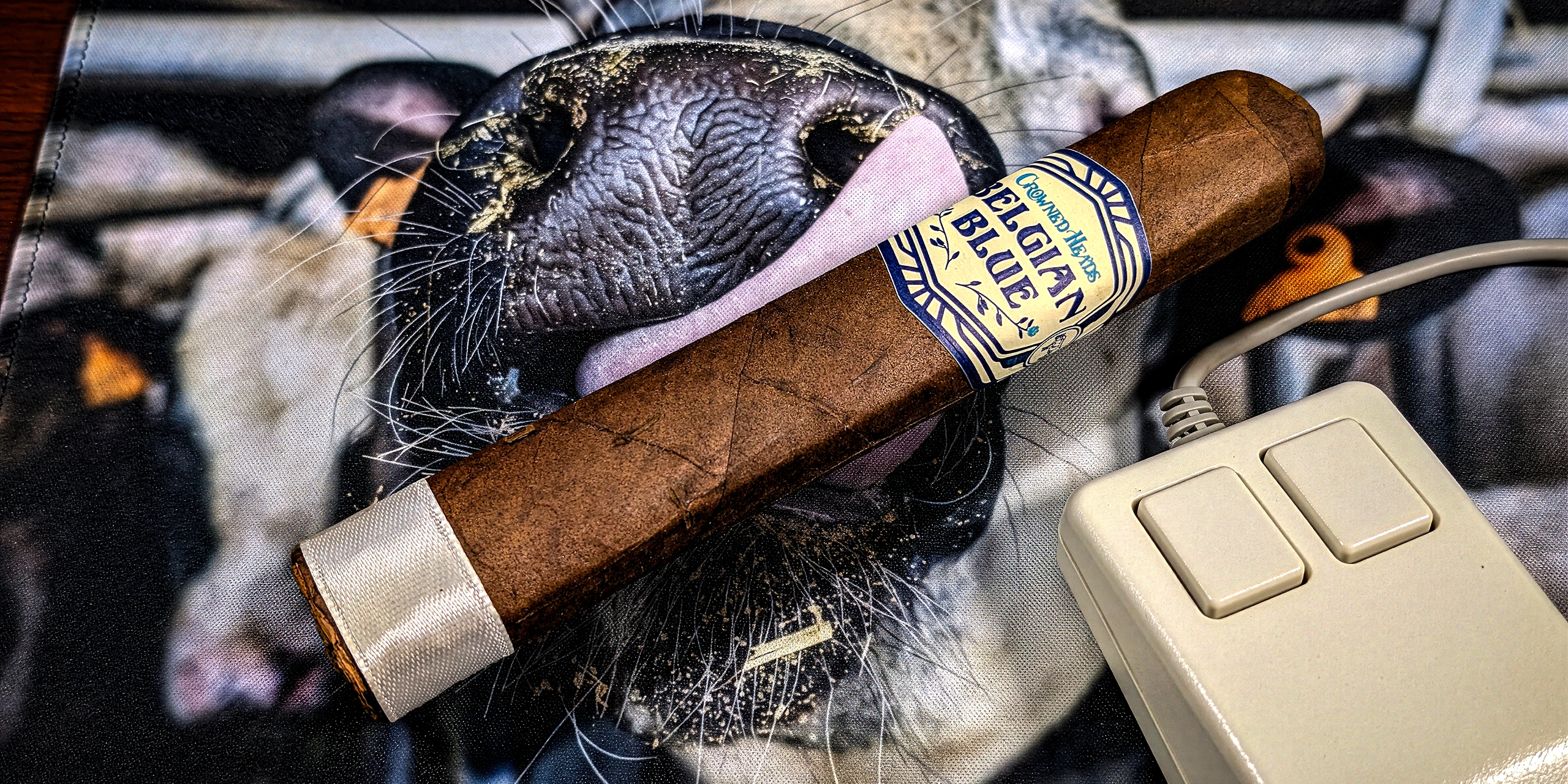 CH Belgian Blue LE 2025 – Robusto Grande (BP) (5.5 x 56)_HEADER_01