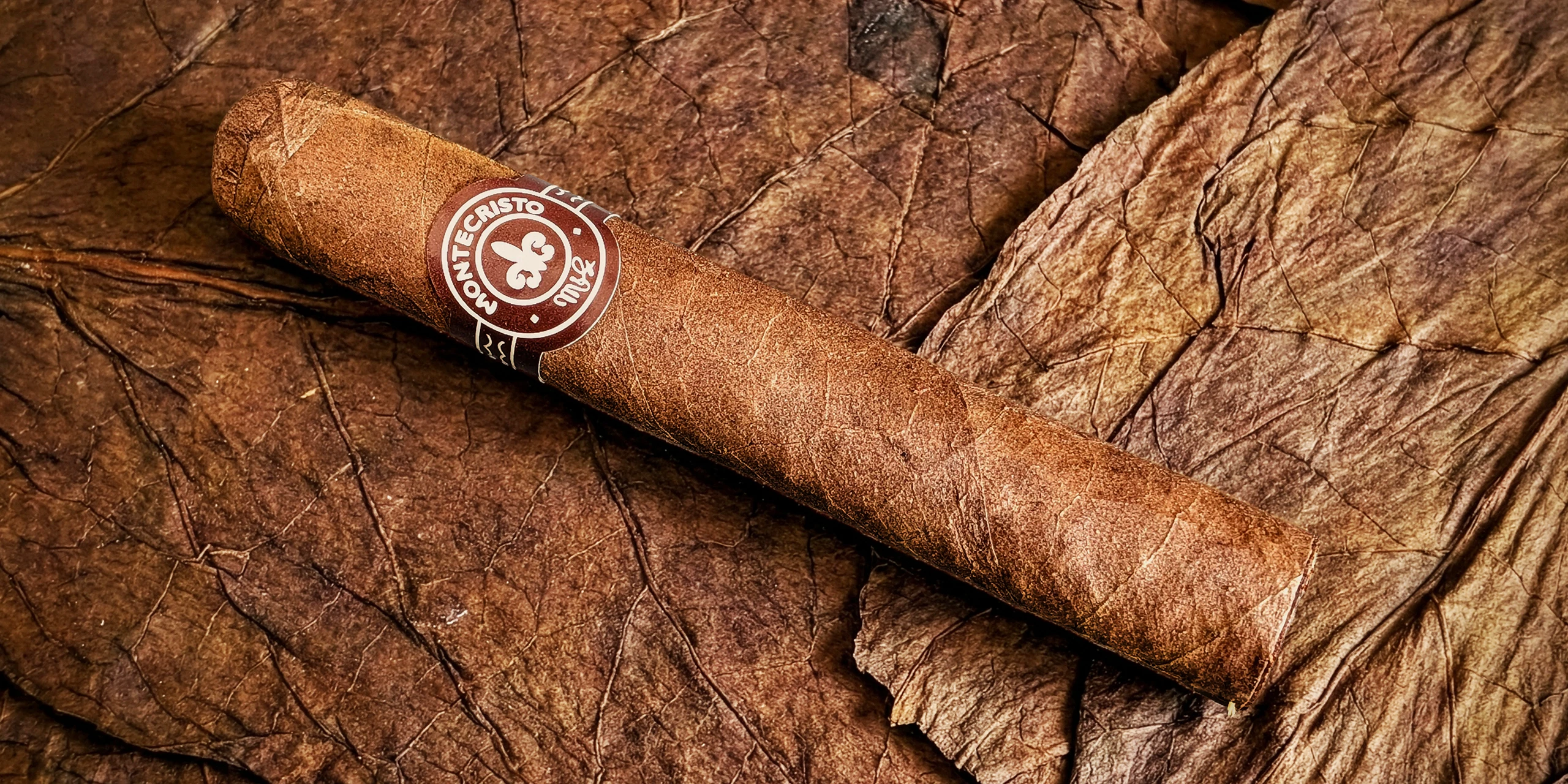 Montecristo Dark (No. 444) – Petit Corona (4 x 44)_HEADER_01