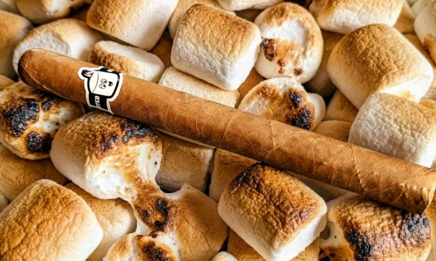 Ohana Toasted Marshmallows Connecticut – Lonsdale (7 x 44)
