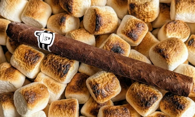 Ohana Toasted Marshmallows Maduro – Lonsdale (7 x 44)