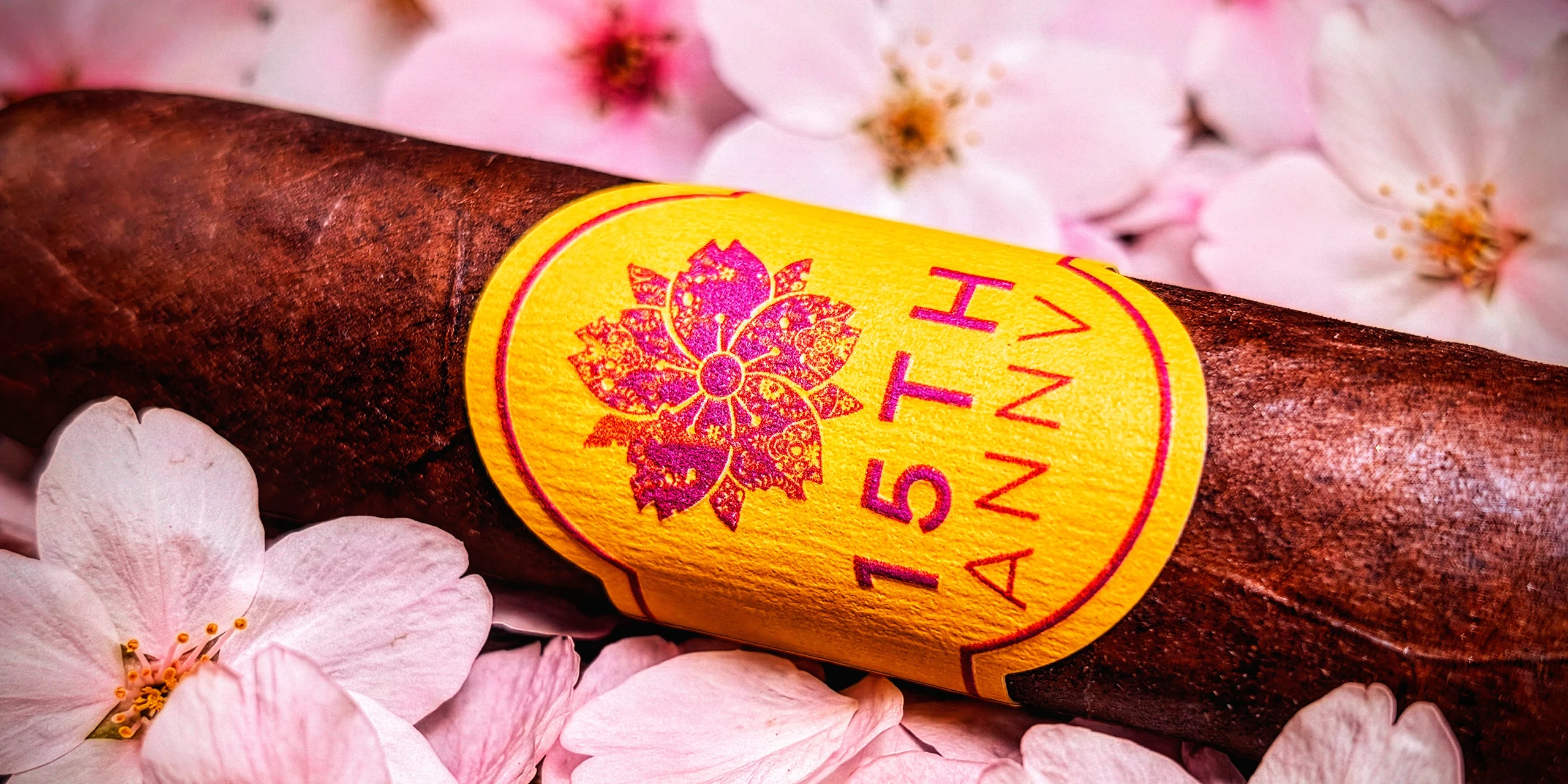 Room101 15th Anniversary – Toro (6 x 52)_HEADER_01A