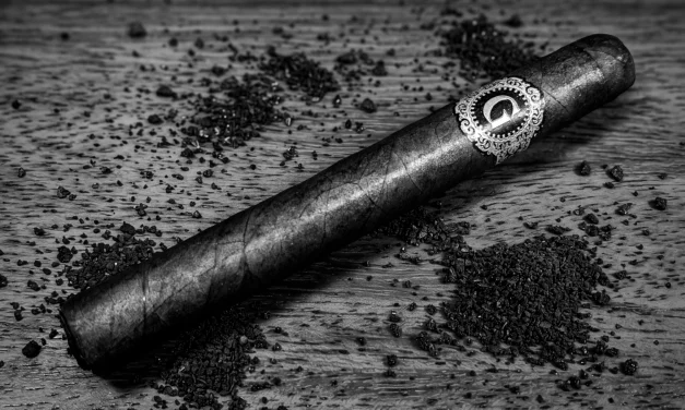 Warped Gellis Family Marevas – Corona (5.13 x 43)