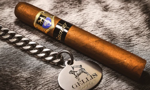 Warped Gellis Family Saunter – Robusto (5.25 x 48)