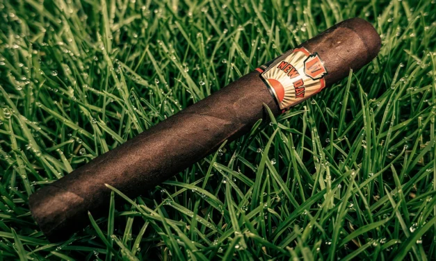 Warped New Day – Toro (5.88 x 52)